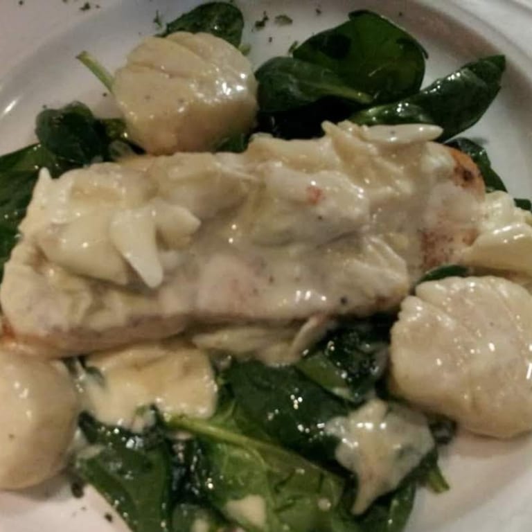 Delicious Salmon Dishes